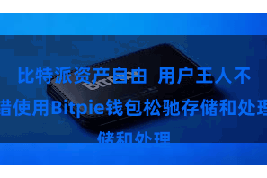 比特派资产自由  用户王人不错使用Bitpie钱包松驰存储和处理
