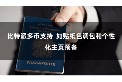 比特派多币支持  如贴纸色调包和个性化主页预备