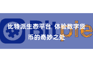 比特派生态平台  体验数字货币的奇妙之处